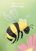 Abeille en route vers notre nouveau nid